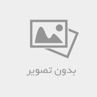 حوزه بازاریابی دیجیتال ، سئو و کتاب
